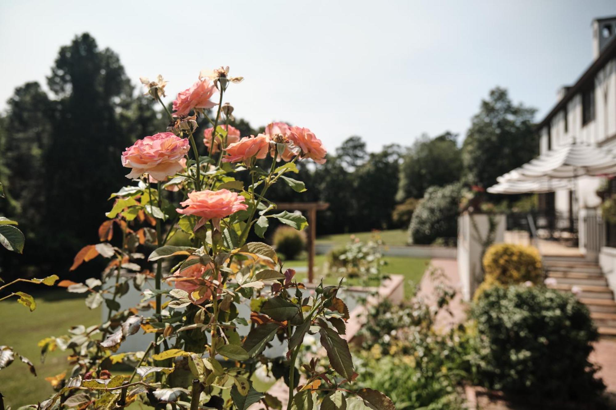 Duncraig Manor Bed and Breakfast Southern Pines Buitenkant foto